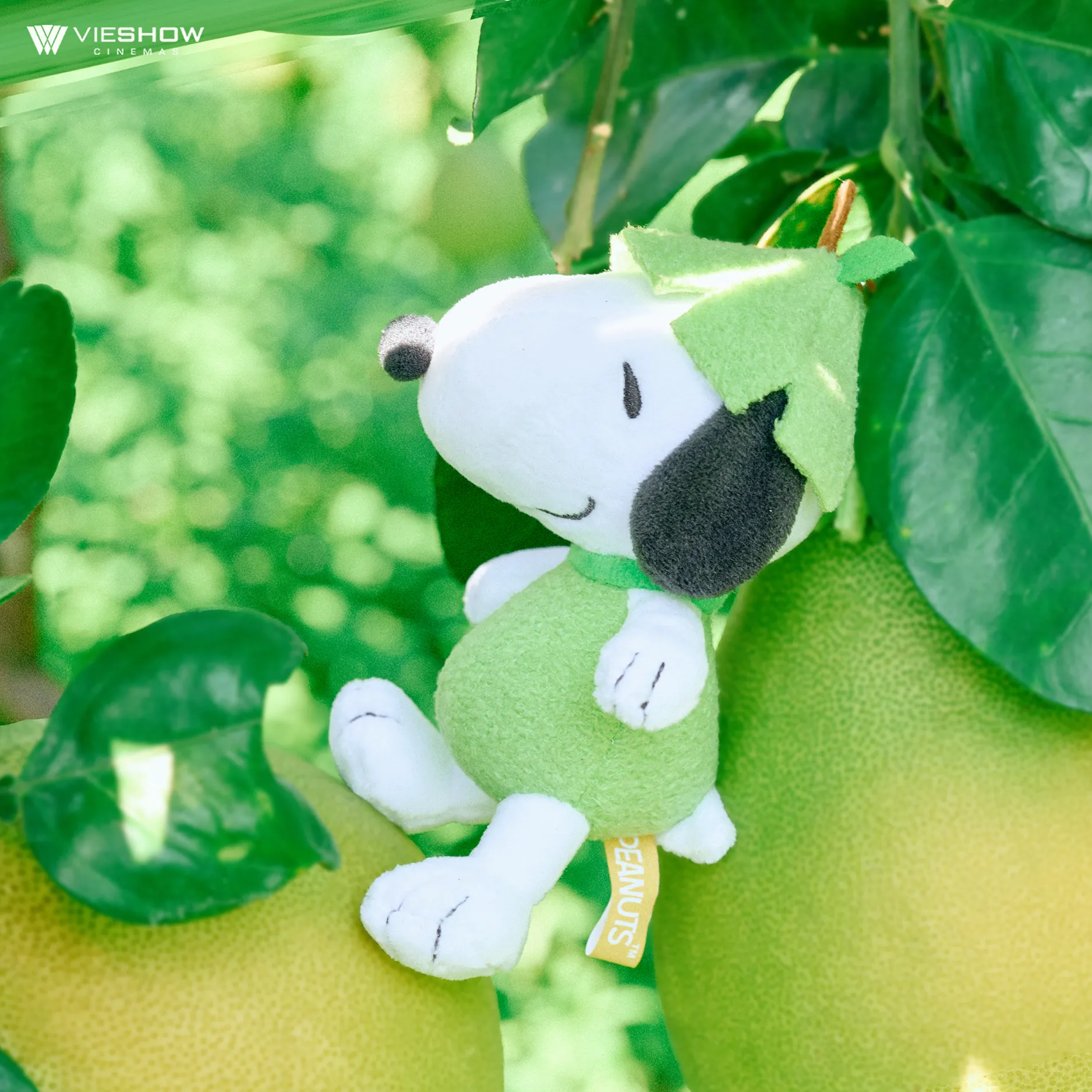 Snoopy 中秋節柚子系列